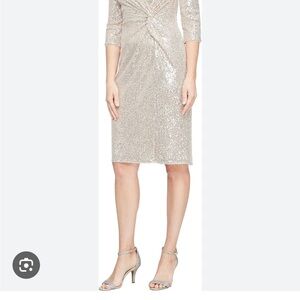 Elegant Silver Sequin Dress